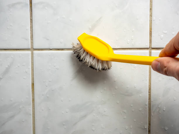 Best Mold Remediation for Specific Building Types in Holland, TX